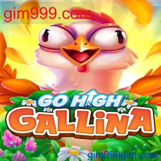 GoHighGallina